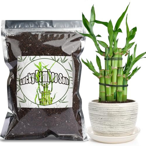 Premium Lucky bamboo Soil Mix 1L, Indoor Plants Potting Mix for All Potted Luncky bamboo, Promote Healthy Growth and Longevity