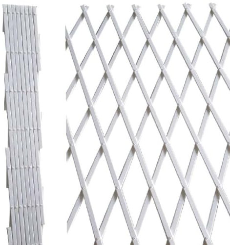 EffeDecor Traliccio Estensibile in PVC Rinforzato Bianco Ideale per Fiori,Piante,Rampicanti da Esterno Decorazione Da Parete per Terrazza Giardino Veranda Balcone (Bianco, 2x1 MT)