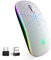 SZO Mouse Wireless Ricaricabile con Convertitore USB e Tipo-C,RGB a 7 Colori,Portatile e Precisione Regolabile (800/1200/1600),Argenteo