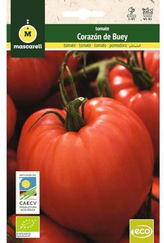 Mascarell Semillas, TOMATE CORAZÓN DE BUEY, Semillas Ecológicas, 0,5 Gramos