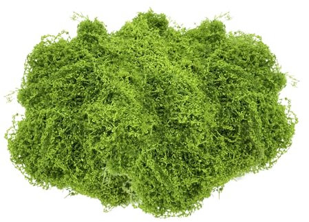 GIDWRIY Deko Moos Zum Basteln Dunkelgrün 100 G,Kunstmoos zum Dekorieren,Modellbau Moos Konserviert,Dekoration Moos Künstlich Wie Echt,Islandmoos Moos Krippe,Trockenmoos,Echtes Moos Fake - Hellgrün