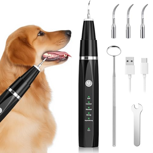 Brosses à Dents à Ultrasons Pour Chiens et Chats, Kit de Nettoyage Des Dents avec 5 Modes, Pour Nettoyer Les Dents Des Chiens et Chat, Noir