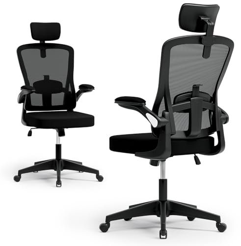 BLINNGO Bürostuhl, ergonomischer Bürostuhl mit Verstellbarer Lendenwirbelstütze und Kopfstütze, Schreibtischstuhl mit hoher Rückenlehne, atmungsaktiver Netzstuhl für Arbeit und Studium (Schwarz)