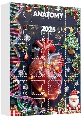 Jul Nedräkningskalender 2D Akryl 24 Dagar Heminredning