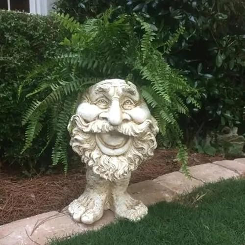 Mugglys Gesicht Statue Pflanzer,Lustiger Ausdruck Blumentopf,Gesicht Blume Topf Kopf Pflanzer,Pflanztopf Büste,Gesicht Kunst Skulptur Blumentopf Harz,Gesicht Pflanzer Blumentopf Figur Garten Dekor (C)