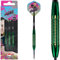 Bull's Ricky Evans Grün Steel Darts | Shell Coated Brass 21g Steeltip Darts | Professionelle Dartpfeile für jeden Spieler