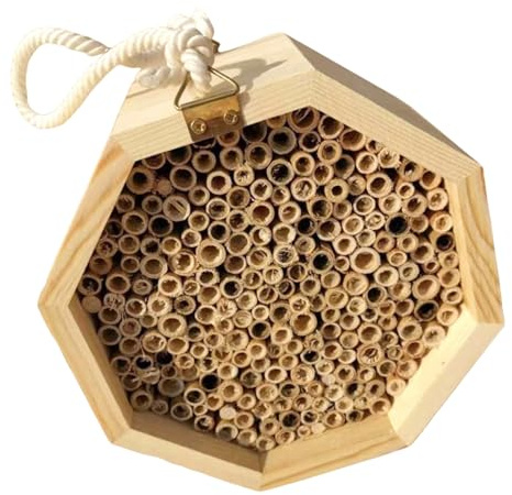 DOITOOL Caja de Madera para Abejas con Ventilación y Protección Colmena para Polinización Refugio Seguro para Apicultores y Amantes Jardinería para Exteriores y Conservación Ambiental