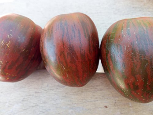 SEMI POMODORO BLACK ZEBRA-