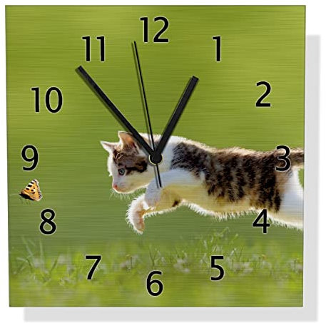 Wallario Design Wanduhr Süße Katze fängt Schmetterling im Grünen aus Aluverbund, Alu-Uhr Größe 30 x 30 cm, Schwarze Zeiger mit Metalloptik