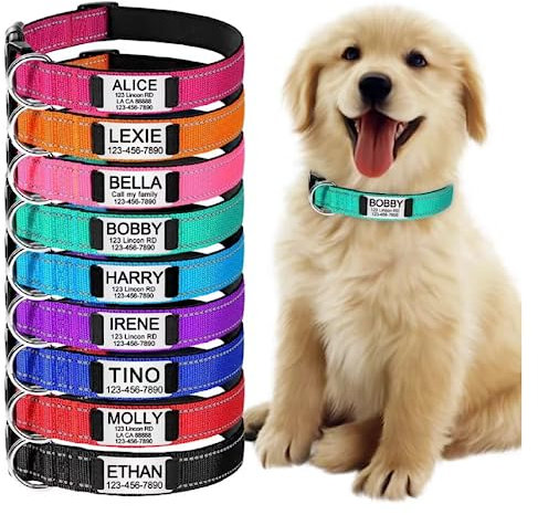 Personalised Reflective Dog Collars,Custom Engraved Stainless Steel Name Plate ID Collar Padded Pet Collar 4 Adjustable Sizes X-Small Small Medium Large… (Silver ID Tag)