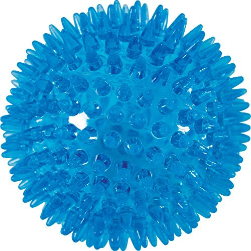 Zolux Picot Pop Jouet Balle pour Chien Turquoise Diamètre 8 cm
