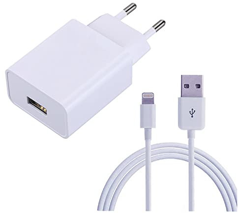 ZLONXUN Cargador 12W y Cable Compatible con iPad Air 3/2/1, Mini 5/4/3/2,iPad 5/6/7/8,iPad Pro 9,7/10,5/12.9(1.ª Gen/2.ª Gen)