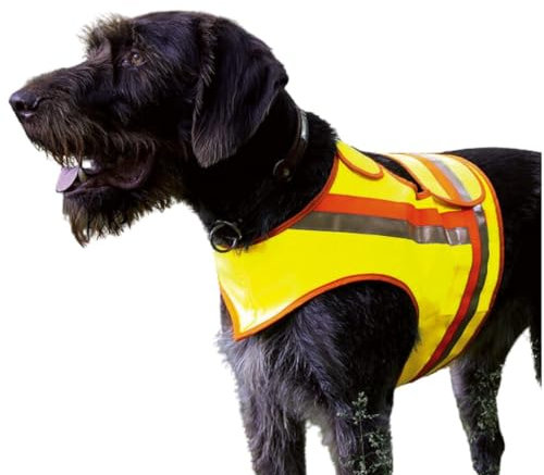 Gilet de sécurité réfléchissant pour chien - Pour chasse à la pression, la chasse à la serre, la circulation routière et les promenades dans l'obscurité - Jaune orange avec bandes réfléchissantes (S)