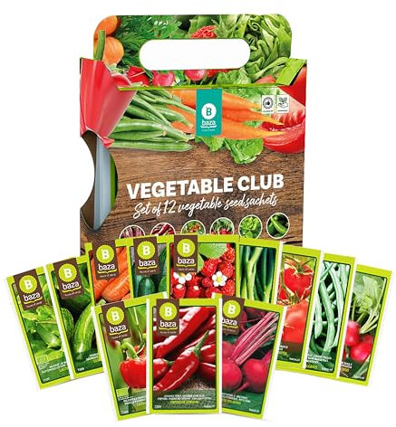 Grow Your Own Vegetable Seeds - Set of 12 Vegetable Plants Seed Box of: Tomato, Cucumber, Beans, Spring Onion and More.. Unusual Gardening Gifts for Women, Mum Birthday Gifts, Dad Gifts