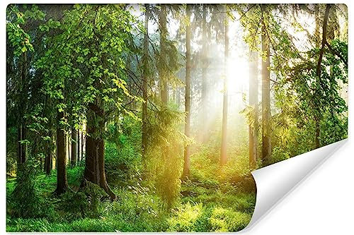 Muralo - 3D Tapete Wald bei Tagesanbruch Vliestapete - Fototapete 3d Effekt - Tapete für Wohnzimmer Schlafzimmer Wandtapete Wald Sonnenstrahlen - Br. 254cm x Hö. 184cm