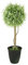 Flair Flower Künstlicher Buchskugelbaum im Topf Buchs Buchsbaum Buchsbaumkugel Buchskugel Kugel Dekopflanze immergrün Kunstbaum Baum Dekobaum Topfpflanze Hochzeitsdeko Partydeko Deko Zierbaum, 60 cm