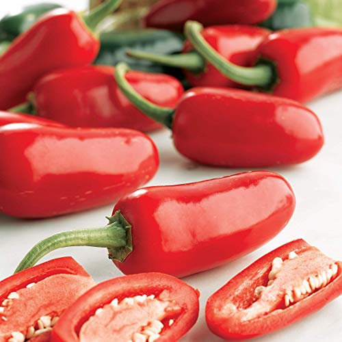 Suttons - Pepper Chilli Seeds - Jalapeno Packet Content 10 Seeds. Grow Your own Tasty Chilli Seed to add Flavour to Any Meal