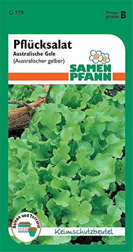 Samen Pfann G779 Pflücksalat Australische Gele (Pflücksalatsamen)