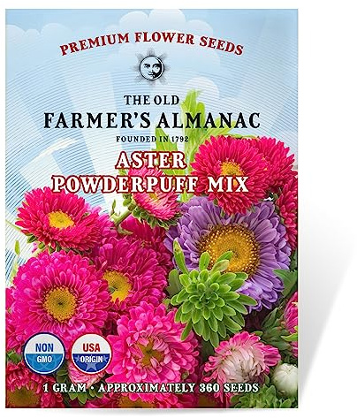 The Old Farmer's Almanac Aster Seeds (Powderpuff Mix) - Approx 360 Flower Seeds - Premium Non-GMO, Open Pollinated, USA Origin