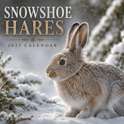 Snowshoe Hares Calendar 2027: Woodland Wildlife Photography