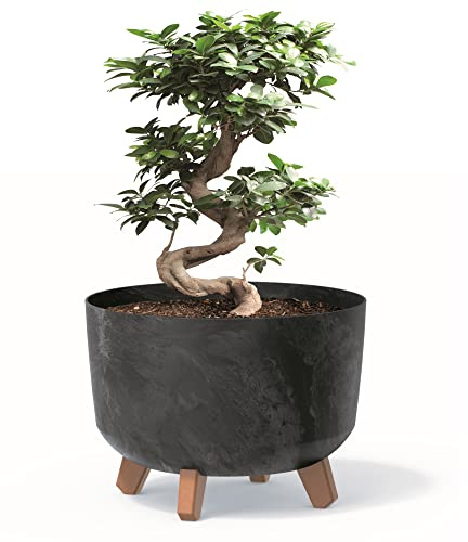 botle Pot de fleurs avec pieds - En plastique - Anthracite - 29 cm - Avec insert - Aspect béton - Pour arbre d'argent - Cactus - Arbre en caoutchouc