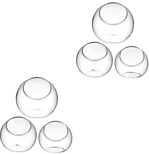 Parliky 6 STK Terrarienbehälter aus Glas Pflanze Terrarium Glas Kleinigkeit Teranium Wand für Zimmerpflanzen Schüsseln bürodeko büro Dekoration Decor Terrarienschalen Sukkulenten-Übertopf