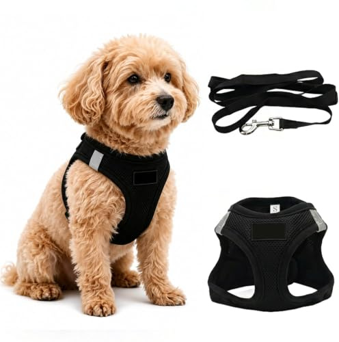 ZenithCove Harnais Petite Chien avec Laisse, Harnais Chiot Anti Traction