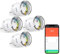 GHome Smart Steckdose, Kleinste ESP8285 Wlan Steckdose |Tasmota Flashing Unterstützung| Stromverbrauch Messen, App Fernsteuerung, Kompatibel mit Alexa, Google Home, 10A,TÜV-Zertifiziert, 2,4GHz(4 pcs)