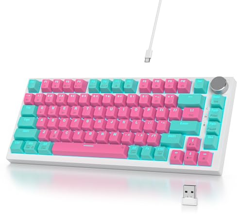 SbocKeeb Mechanische Tastatur Kabellos 75% mit Knopf, TKL Gaming Tastatur 75 Prozent Amerikanische QWERTY RGB Bluetooth/2.4G/USB PBT Tastenkappen, Hot-Swap für Mac/Win(V400pro-Miami)