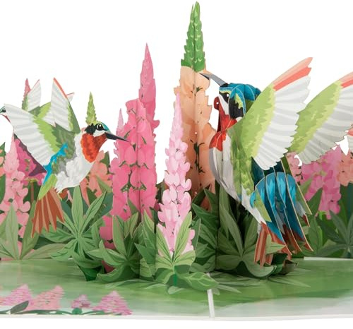 Cardology - Biglietto pop-up con colibrì | Biglietto di auguri di compleanno 3D fatto a mano per lei | Festa della mamma, San Valentino, Compleanno, Guarisci presto | Carta ricordo di lusso