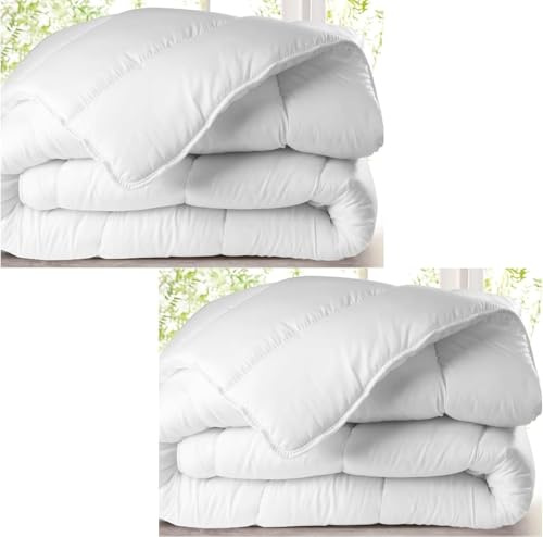 L22G Lot de 2 Couettes 200x200 cm - 380 g/m² - Confort Moelleux - Respirante - Idéale pour l' été et la Mi-Saison