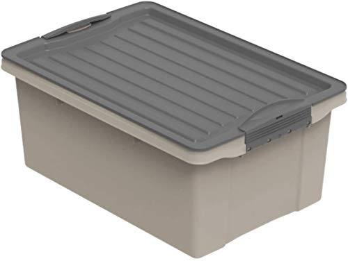 Rotho Compact Aufbewahrungsbox 13l mit Deckel, Kunststoff (PP recycelt) BPA-frei, cappuccino/anthrazit, A4/13l (39.5 x 27.5 x 18.0 cm)