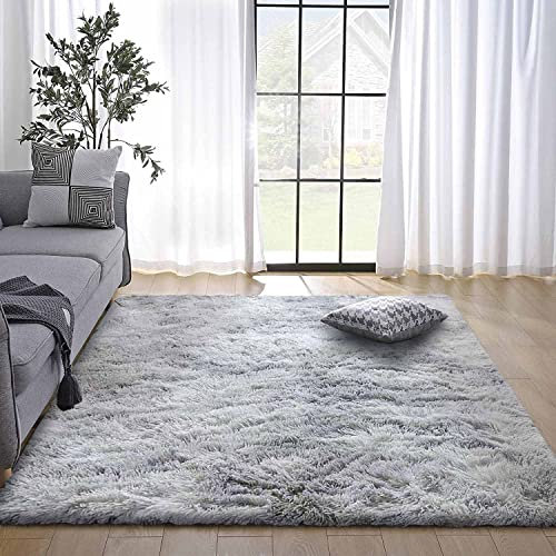 Tinyboy-hbq Area Rugs Fluffy Bedroom Carpet Soft Floor Mat Anti-Slip Living Room Rugs Shaggy Plush Carpets for Living Room Home Decor (Grey white, 80 * 120cm)