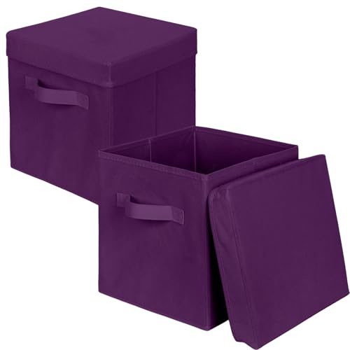 powerking Scatola di stoccaggio Bins, 2 pacchetto pieghevole tessuto stoccaggio cubo con coperchio, vestiti organizzatore cassetto per armadio e giocattoli stoccaggio, 27x27x28cm，Violetta