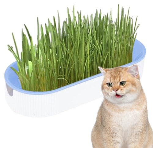Katzen-Pflanztablett, selbstbewässernder Katzengras-Pflanzbehälter, Hydrokultur-Katzengras-Anzuchtset, Katzengras-Keimschalen, bodenfreie Katzensnacks für die Verdauung, für Indoor-Katzen, Hunde und