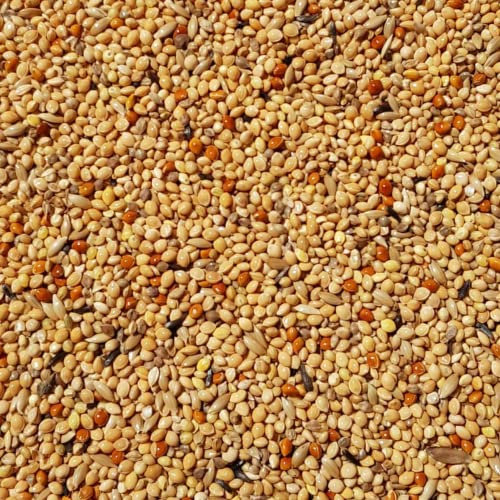 Supravit Exotenfutter 25kg - hochwertiges Mischfutter für exotische Finken - enthält wertvolle Hirse & Saaten I kräftigt das Federkleid & unterstützt die Paarungsbereitschaft beim Vogel…