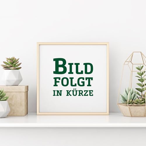 2er Set Grüne-Säuleneibe, Taxus baccata Fastigiata Robusta, Höhe 60-70 cm