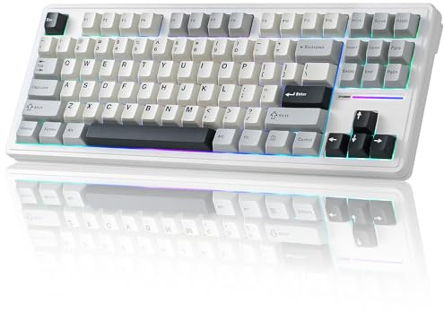 YUNZII YZ87 Mekaniskt tangentbord med packning, TKL Wireless Hot-Swap Gaming Keyboard med 4-lagers stoppning, BT5.0/2.4G/USB-C NKRO RGB Backlit Gaming Keyboard för Win/Mac (Weiß, Milk Switch)