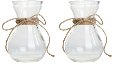 Happyyami 2pcs Clear Glass Hyacinth Flower Vase with Twine Rope Small Flower Hydroponic Plant Bottles for Home Office Tabletop Centerpiece