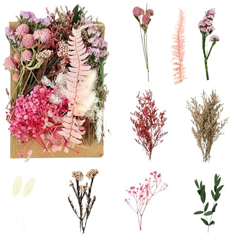 Fleurs Séchées Naturelles - Bouquet de Roses Pince pour Décoration, Mariage, Scrapbooking, Bougie DIY et Bijoux Artisanaux