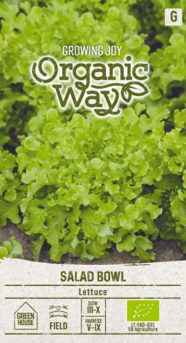 Organic Way | LAITUE SALAD BOWL des graines | Graines de légumes | 1 Paquet
