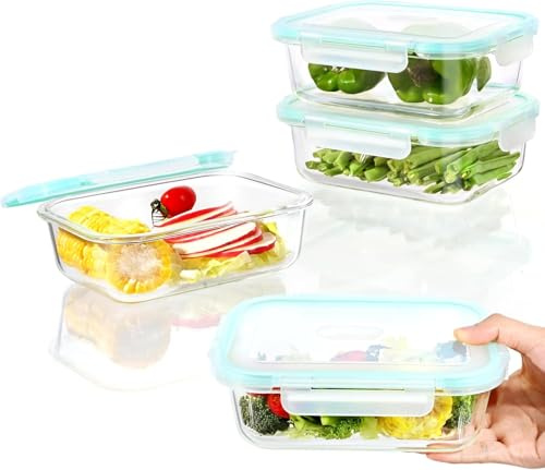 Hcrvvi Glass Food Storage Container Set, Transparent Containers With Airtight Lids Containers, BPA Free, Meal Prep, Set of 4, 1040 ml Each, 1 Cleaning Sponges