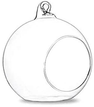 Photophore en verre à suspendre pour terrarium - Pour la maison - Vase succulent - Petit verre - Terrarium - Reptile