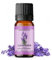 Revura Lavender Essential Oil for Aromatherapy | 100% Pure Natural Oils | Diffusers for Home, Stress Relief, Candle Making, Soap, Home Fragrance, Soap Making | Vegan, UK Made (Pack of 1, 10ml)