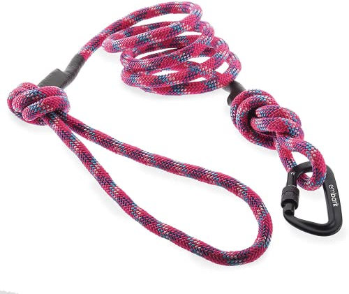 Embark Sierra Dog Lead with Mountain Climbing Rope and Carabiner. Unmatched Strength & Durability, 6ft, Colourful, and Sturdy Nylon Dog Leads for Small, Medium, Large Breed Dogs. Heavy Duty Dog Leash