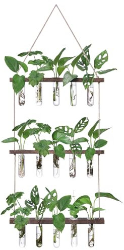 XXXFLOWER Wall Hanging Propagation Station with 3 Tiered Wooden Stand 15 Test Tubes Flower Vase Glass Planter Stations for Home Office Decor Hydroponic Plant Cuttings Lover