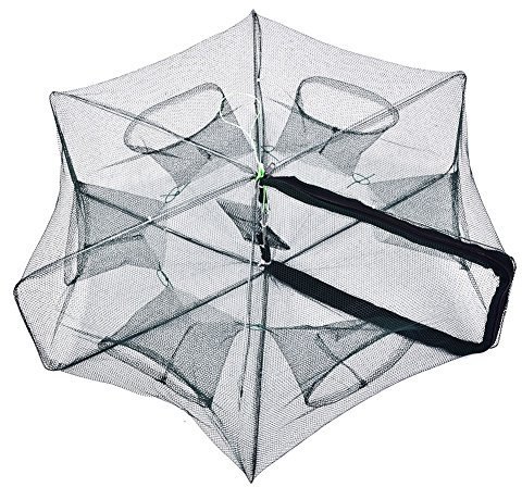 Köderfischreuse Angeln Kescher Karpfen Krebsfalle Angel Netz Folding Fischernetz Trap Tragbare Gefaltete Fisch Garnelen Minnow Langusten Krabben Köder Gegossenen Mesh Net Trap Cast Käfig(6-Lücke)