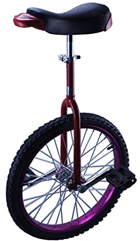 EYRMQWJPC Balance Training Unicycle Beginner Unicycle for Adults and Kids, Purple, 14-24 inches(20)