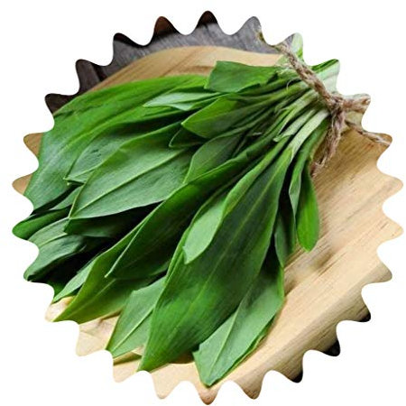 Bärlauch/ca.50 Samen/Ramsen/Gesundes Nahrungsmittel