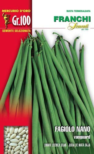 BUSTA SEMI DI FAGIOLO NANO VANGUARD 100 GR ORTO GIARDINO SEMI